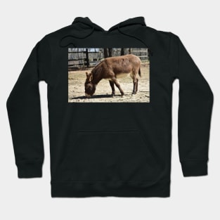 Donkey Hoodie